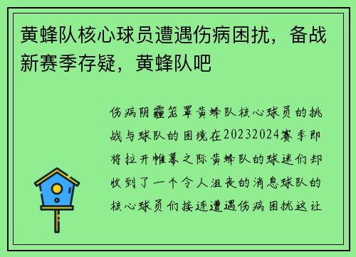黄蜂队核心球员遭遇伤病困扰，备战新赛季存疑，黄蜂队吧